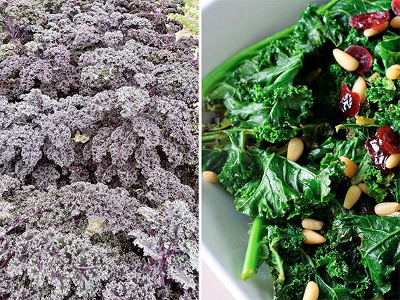 Cultiva tu propio kale...